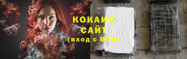 метадон Инта