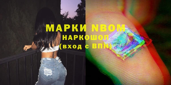 СК Зеленокумск