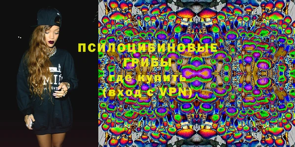 метадон Инта