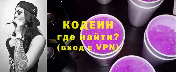 метадон Инта