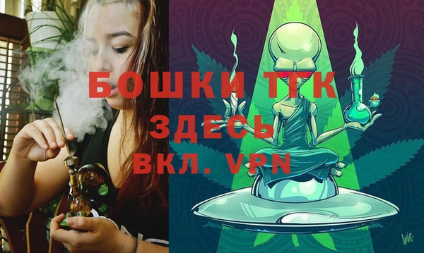 spice Инсар