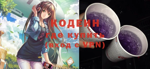 метадон Инта