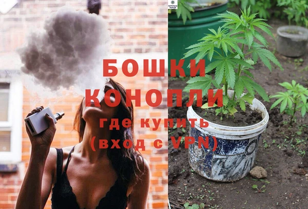 метадон Инта