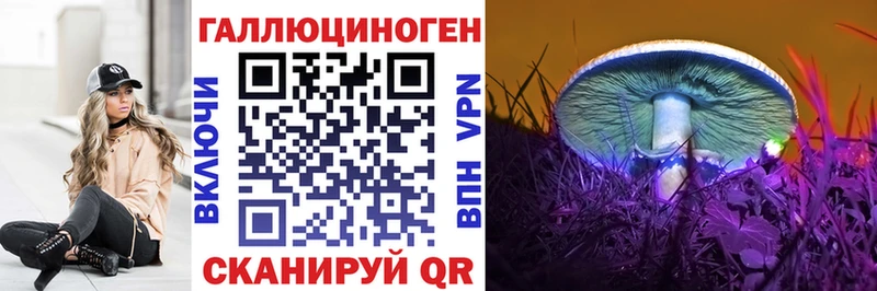 Купить закладки  Грайворон  Галлюциногенные грибы мицелий 