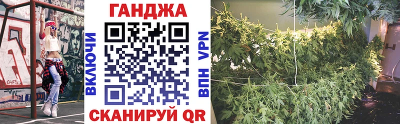 Бошки Шишки гибрид  Купить  Грайворон 